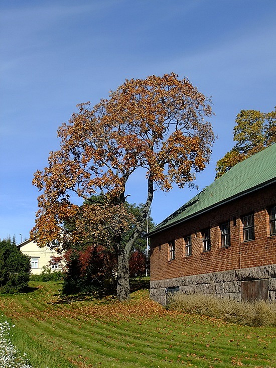 herfst in Helsinki